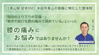 半田市 周辺で『慢性の膝の痛み・変形性膝関節症』にお悩みの方へ｜さわやかバランス整体院
