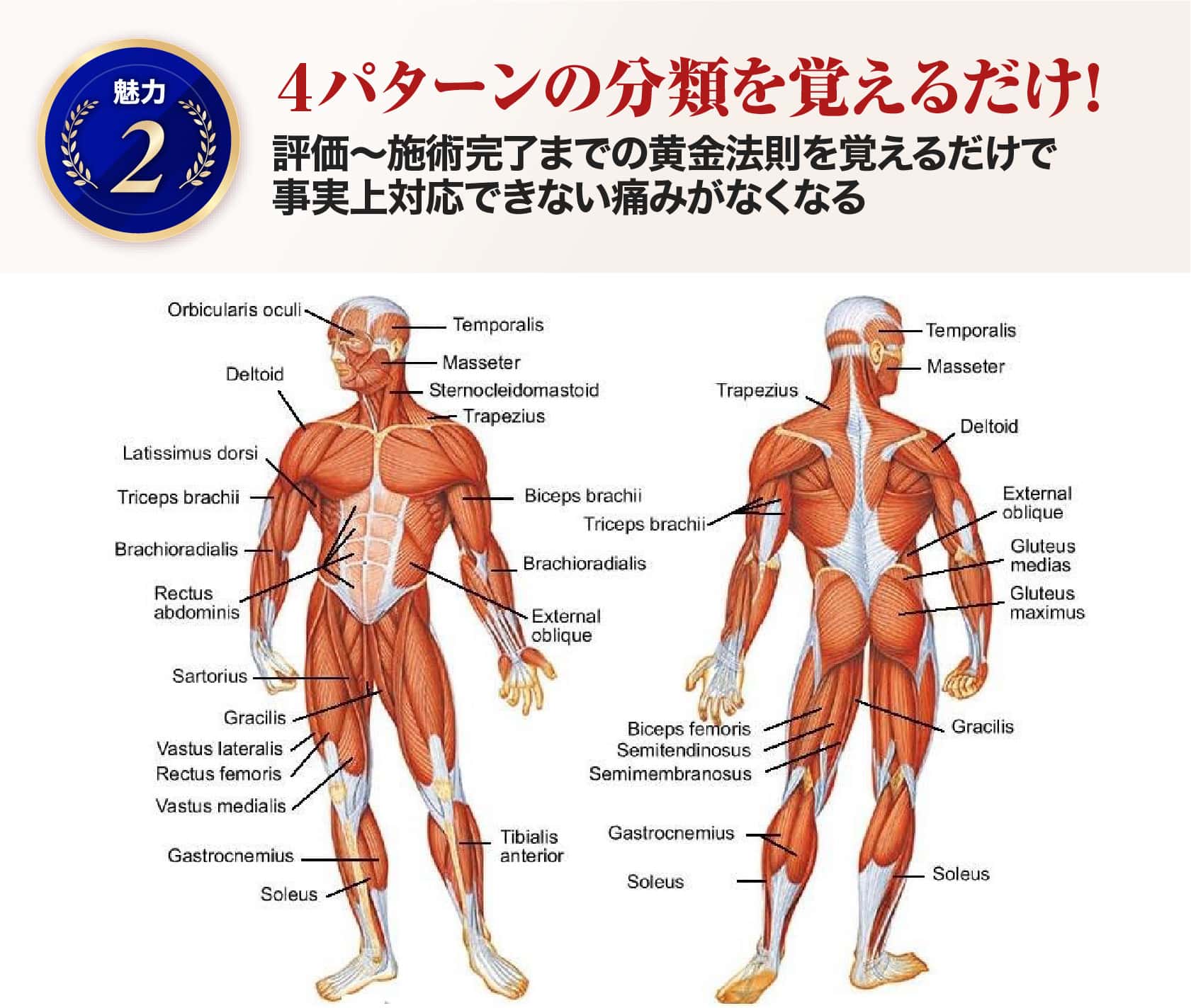 4パターンの分類を覚えるだけ!