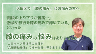 大田区周辺で『慢性の膝の痛み・変形性膝関節症』にお悩みの方へ｜山王リーフ整骨院